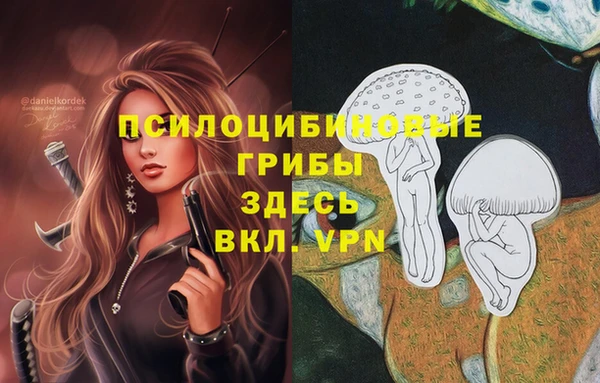 дурь Белоозёрский