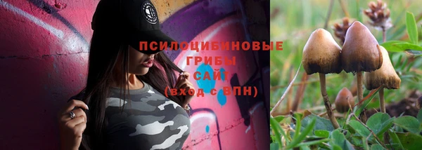 шишки Дмитриев