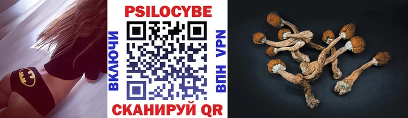 Галлюциногенные грибы мухоморы  Вязьма 